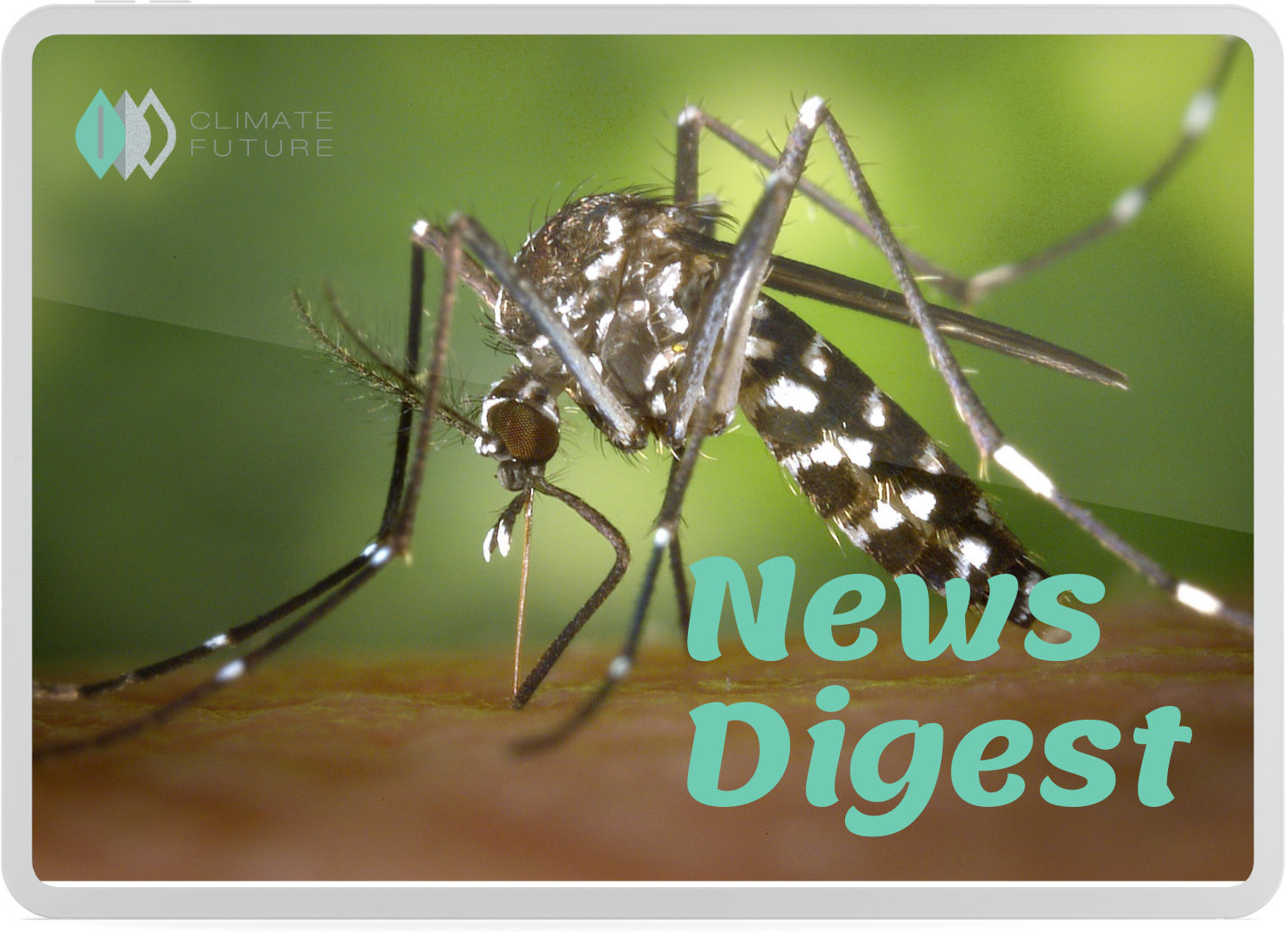 News Digest | Aug 23-27